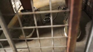 2021-01-13-Je-C-skipped-bail-again-part2