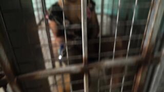 2021-01-13-Je-C-skipped-bail-again-part2