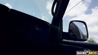 2022-04-13-8894971-wild-chick-hops-on-the-bus_720