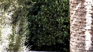 2023-07-01-218423-rear-entrance-218423-540