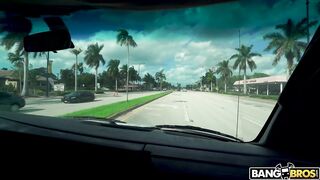 2020-12-23-8862771-gold-digger-hops-in-the-bus_720