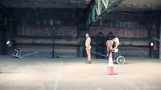 2024-10-21-two-horse-race_IP