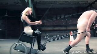 2024-10-21-two-horse-race_IP