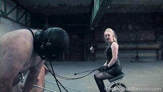 2024-10-21-two-horse-race_IP