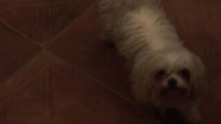 2011-06-22-87510-backstage-with-sophie-moone-berinice-540