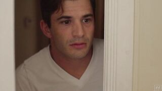 2020-11-08-120149-our-new-roommate-s37e20_960