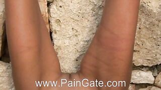 2009-08-14--rotten-olives