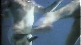 2016-05-10-bored-games-vintage-porn_h265