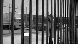 2019-10-06-149491-the-case-of-the-snitchs-snatch-149491-540