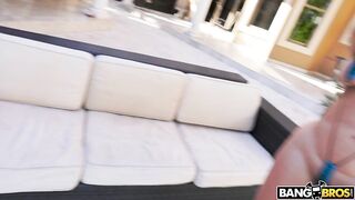 2019-03-04-8934301-diamond-kittys-little-doggie_720