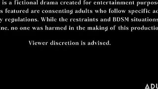 2023-01-22-215021-switch-embodiment-215021-540