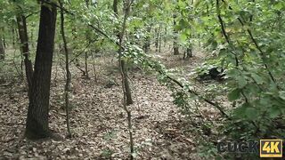 2024-08-08-990-forest_encounter-sd