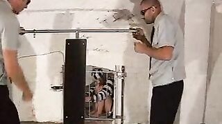 2010-12-15--weeklywhipping