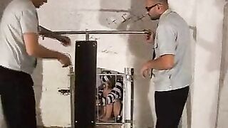 2010-12-15--weeklywhipping