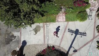 2018-07-07-3093691-puppy-love_720