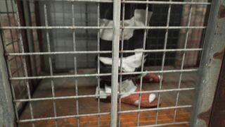 2019-02-13-Adara-in-max-lock-up