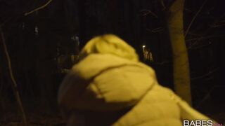 2017-01-27-3108771-frozen_720