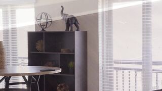 2019-02-20-69506-see-you-tonight-s30e26_960