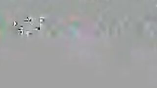 2017-06-01-8972251-eager-to-please_720