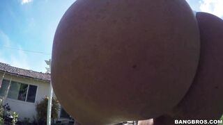 2016-11-21-8969291-harley-jade-goes-for-a-ride_720