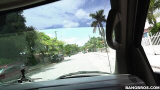 2016-07-20-8981431-grand-theft-canine_720