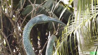 2021-02-03-15962-bailey_base_720