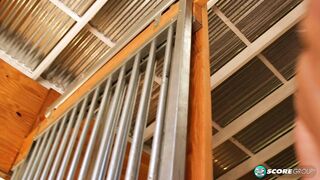 2025-06-30-55091-aurora-rose-55091_720