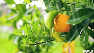 2020-05-10-25333-krissy_lynn2_720