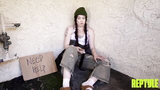 2026-04-22-31983-daydream_daisy_720