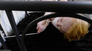 2026-04-26-295-elleizzycatburglars_3000