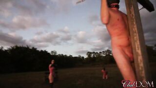 2017-02-01--vivian-decorates-his-back-with-whip_720p