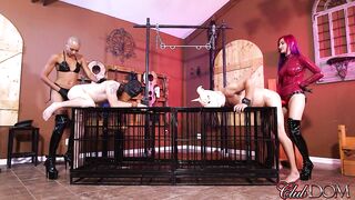 2016-11-14--quandisa-amadahys-pig-roast_720p
