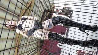 2015-09-09--calliecalypsopinecone_720p
