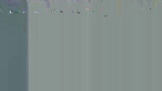2026-05-31-11492113-getting-it-on-with-gatita_720