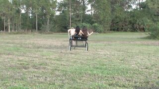 2014-02-24--ponycarthumiliation_720p