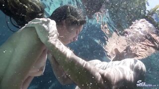 2022-07-10-little-fox_1080p