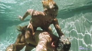 2022-04-03-nr220403-shark-attack-2022_720p
