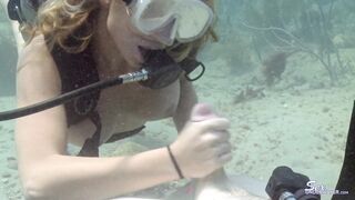 2021-01-31-saltwater-cock_1080p