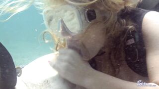 2021-01-31-saltwater-cock_1080p
