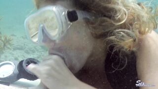 2021-01-31-saltwater-cock_1080p