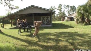2013-08-19--ponyslut_hd