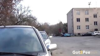 video-suburb-puddle_1080P