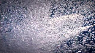 2020-02-14-master-blaster_480