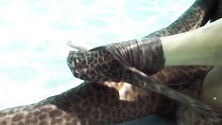 2017-08-04-shred-the-leopard_480