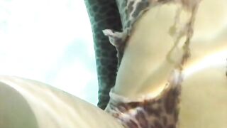 2017-08-04-shred-the-leopard_480