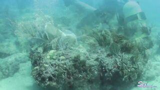 2016-11-13-dive-girls-1_720
