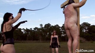 2012-06-27--12footbullwhipping_hd