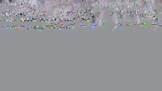 2026-08-26-here-you-always-win-mery-colt-runs-after-the-secon_720p