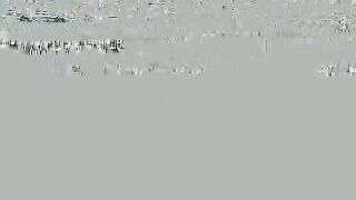 2024-09-06-videos-fucking-with-the-installer-of-the-fiber-opt_720p