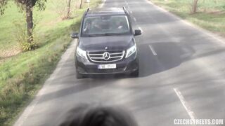 luxurious-milf-fucked-in-a-public-bus